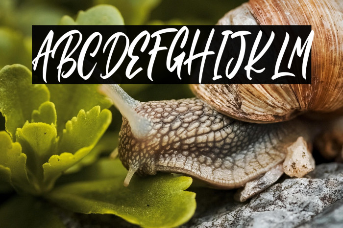 Rolling Back Example 3