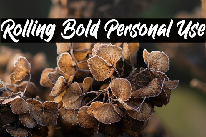 Rolling Bold Personal Use Example 1