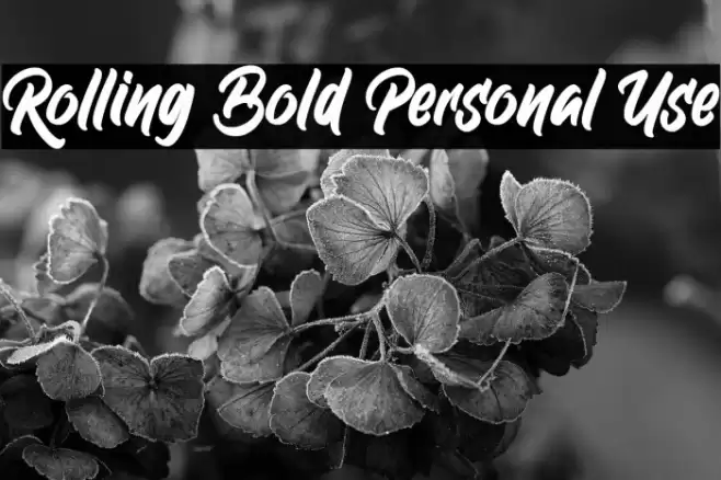 Rolling Bold Personal Use Font examples