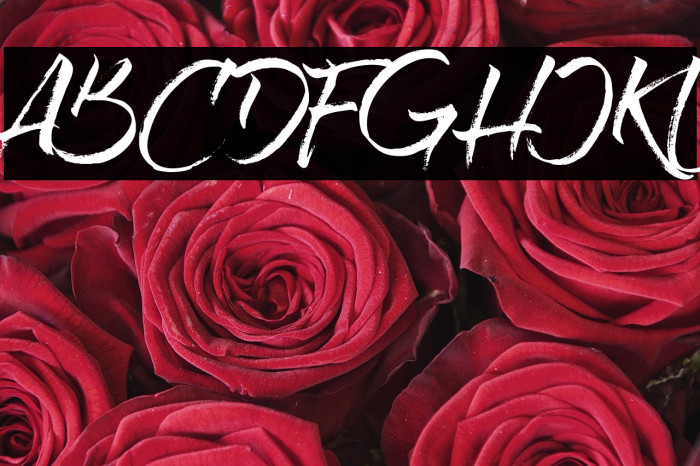 Rolling Out Example 3