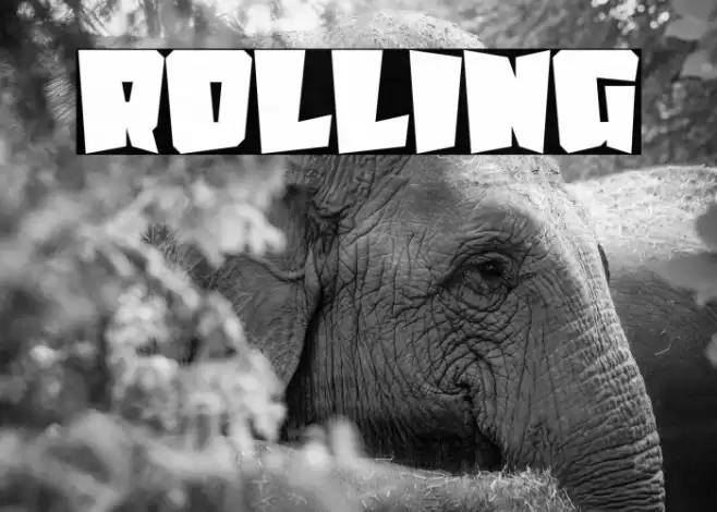 Rolling फ़ॉन्ट examples