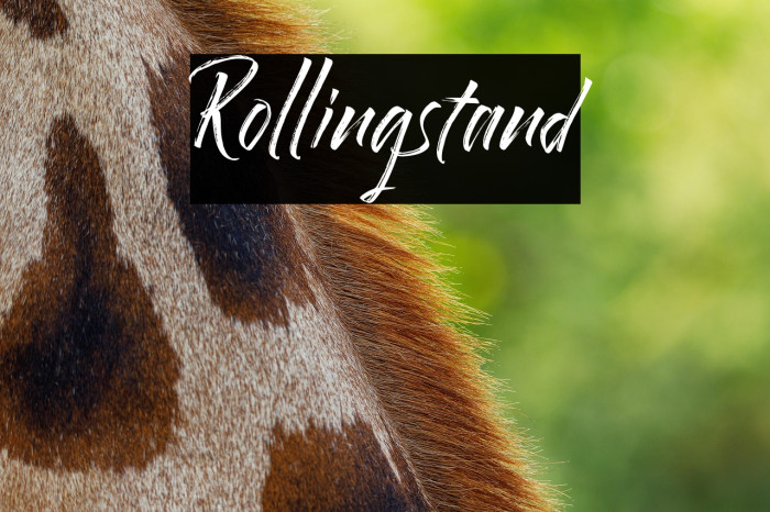 Rollingstand Example 2