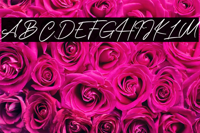 Rollingtime Example 1