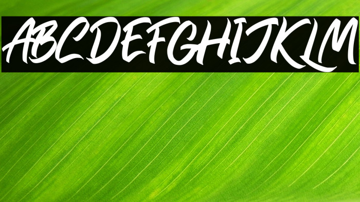 Rollinkland Example 1