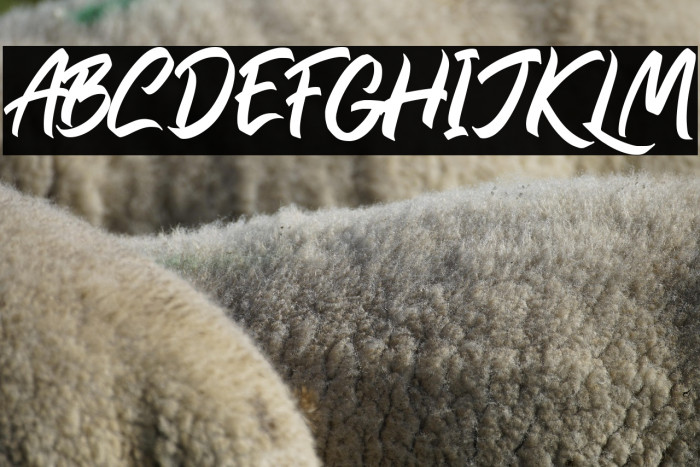 Rollinkland Example 2