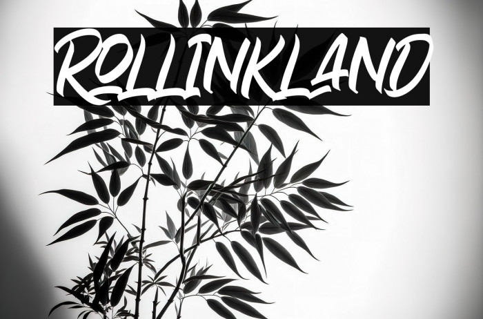 Rollinkland Example 2