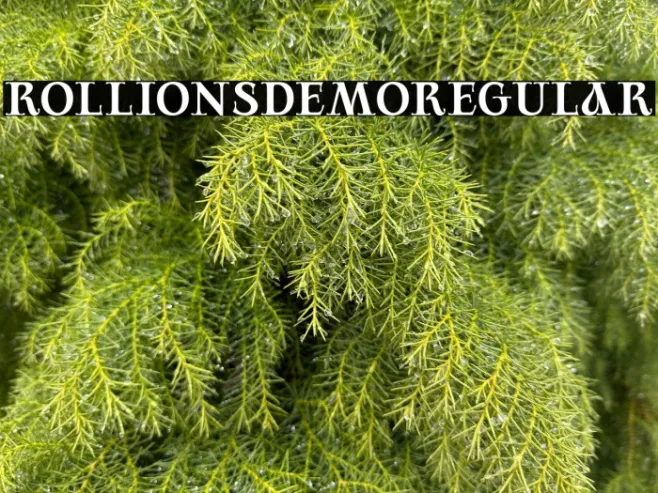 RollionsDEMO-Regular Example 2