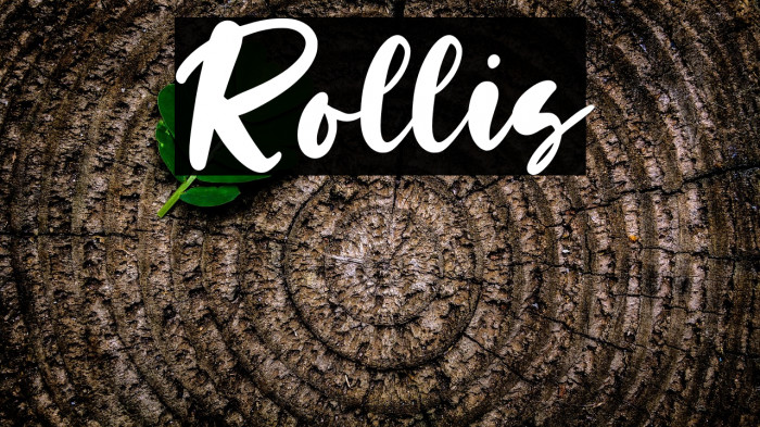 Rollis Example 2