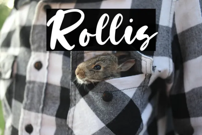 Rollis Example 3