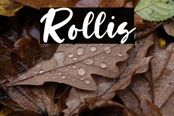 Rollis Example 1
