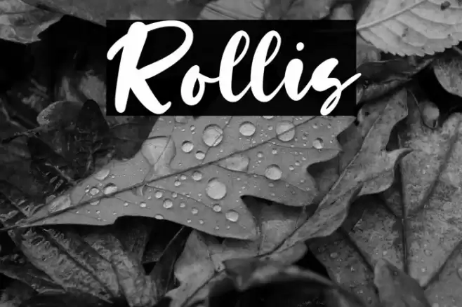 Rollis Font examples
