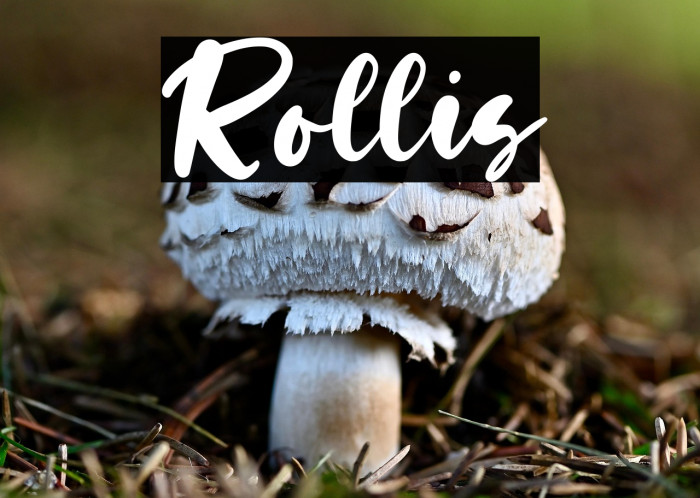 Rollis Example 2