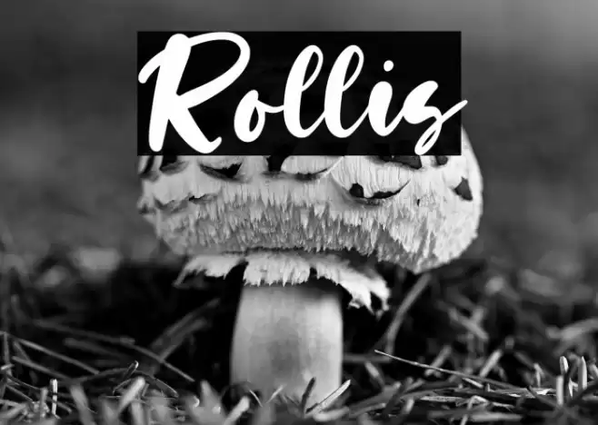 Rollis Font examples
