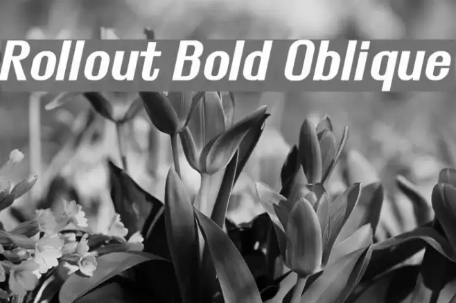 Rollout Bold Oblique Font examples
