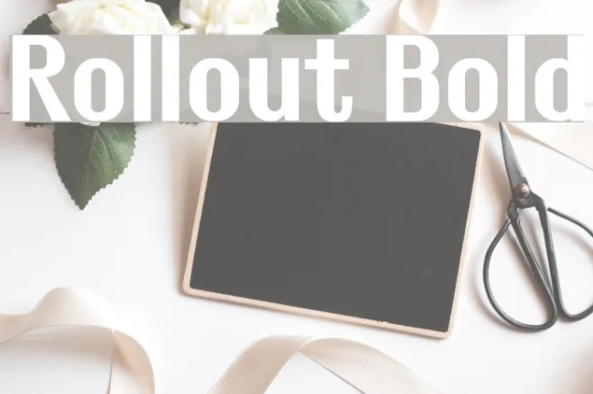 Rollout Bold Example 1