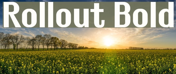 Rollout Bold Font examples