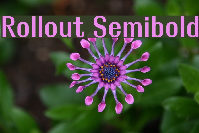 Rollout Semibold Font examples
