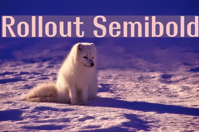Rollout Semibold Font examples