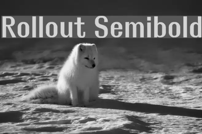 Rollout Semibold Fuentes examples