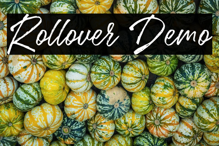 Rollover Demo Example 1