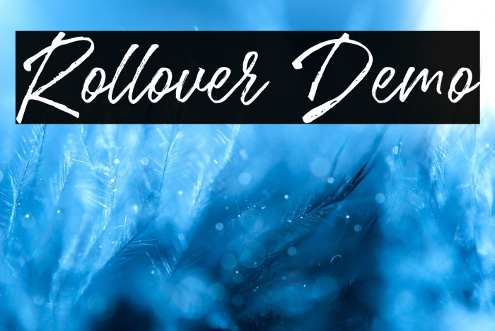 Rollover Demo Example 3