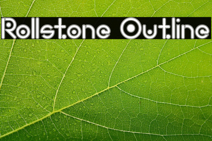Rollstone Outline Example 3