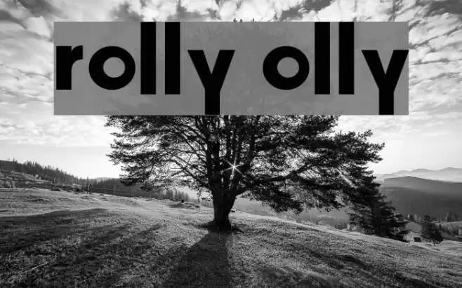 Rolly Olly Font examples