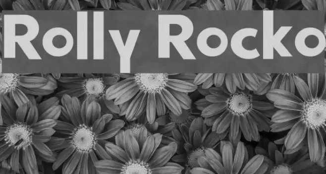 Rolly Rocko Font examples