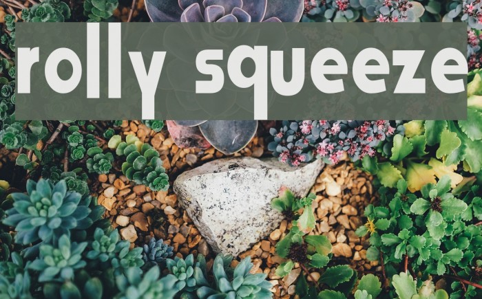 Rolly Squeeze Font examples