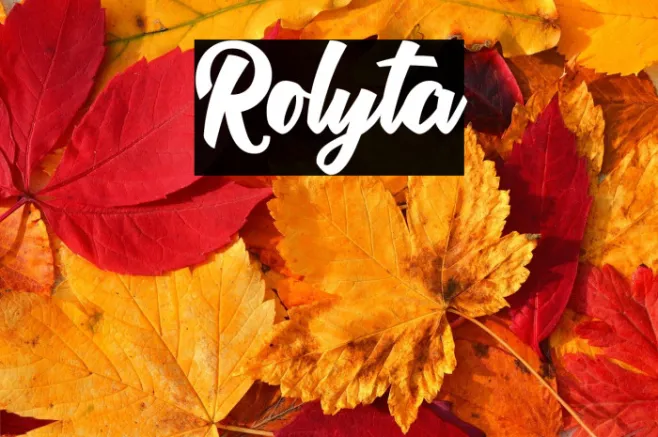 Rolyta Example 2