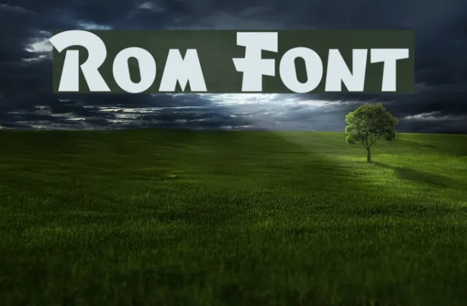 Rom Example 2