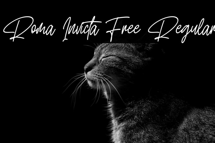 Roma Invicta Free Regular Example 2