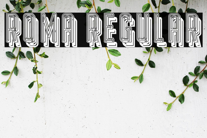 Roma Regular Example 1