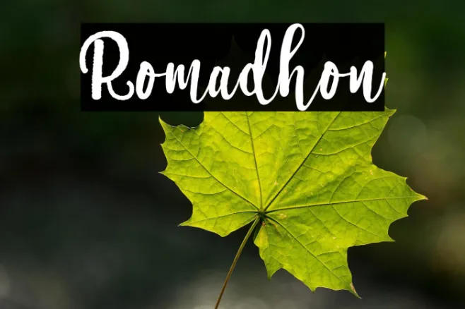 Romadhon Example 3