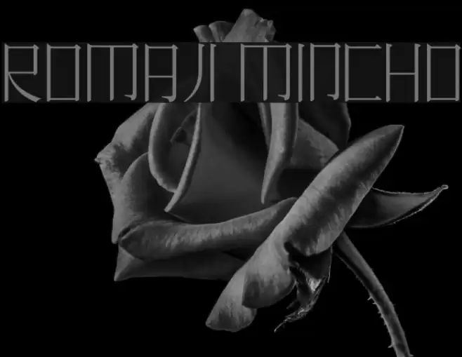 Romaji Mincho Font examples