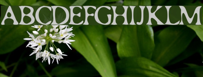 Roman Acid Font examples