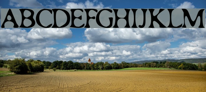 Roman Acid Font examples