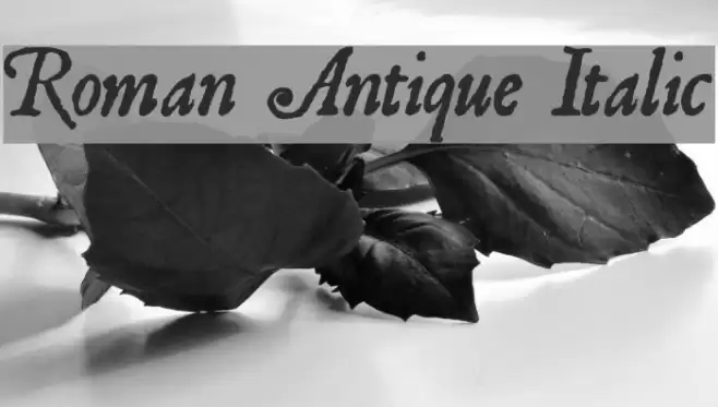 Roman Antique Italic Font examples