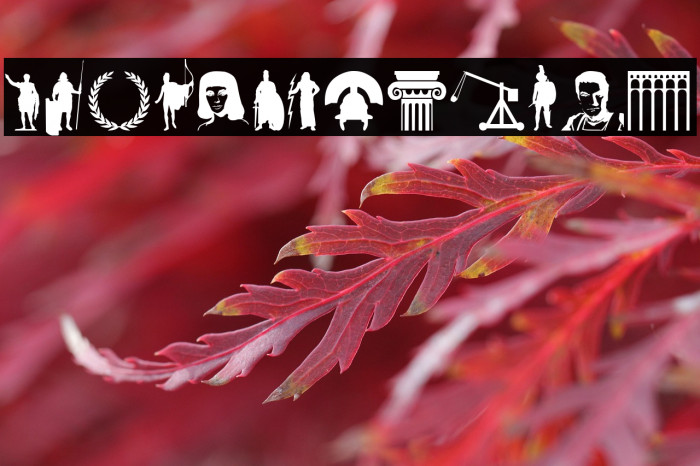 Roman Empire Example 3