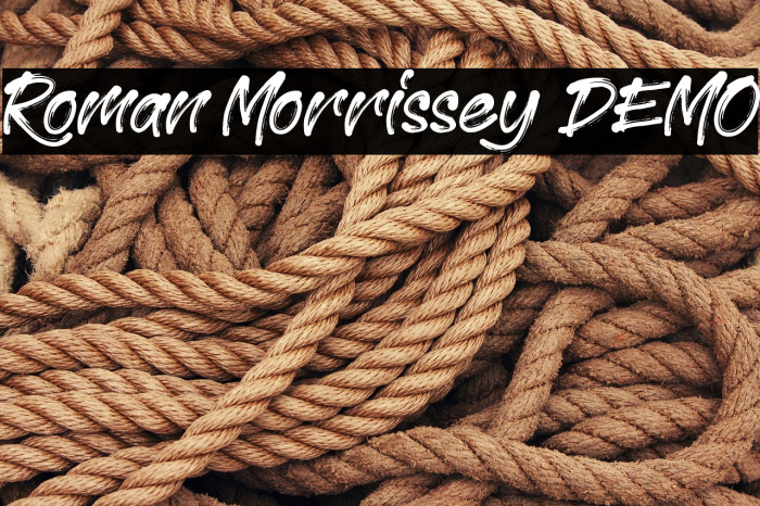 Roman Morrissey DEMO Example 3