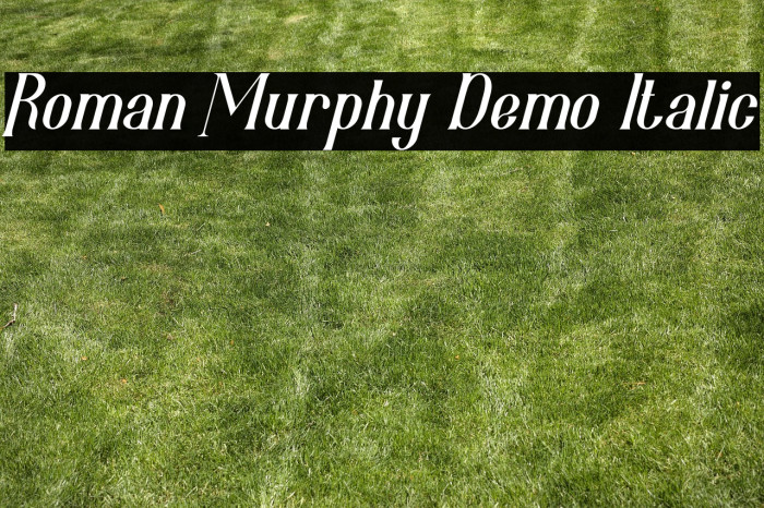 Roman Murphy Demo Italic Example 2