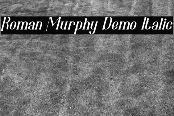 Roman Murphy Demo Italic フォント examples