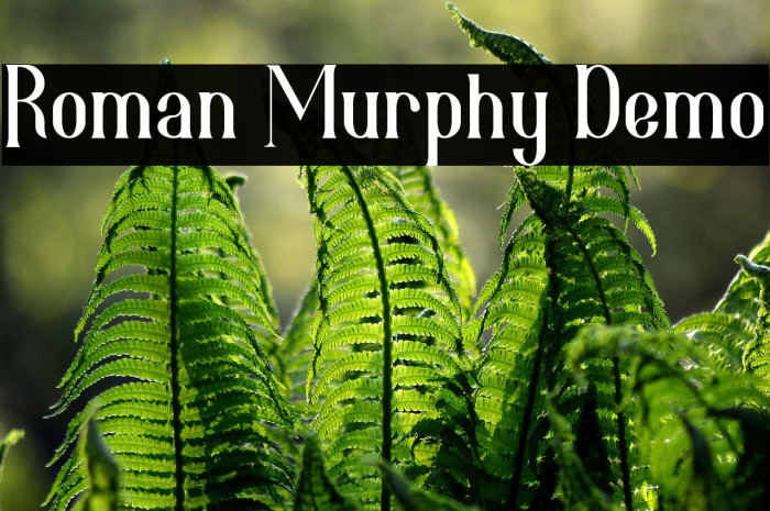 Roman Murphy Demo Example 1