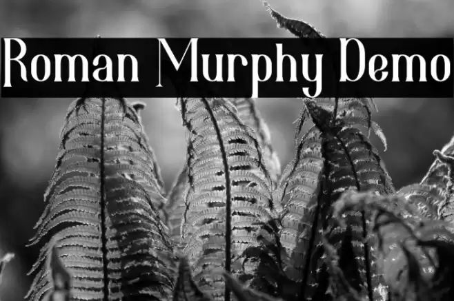 Roman Murphy Demo Schriftart examples