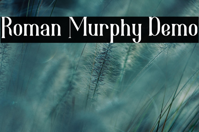 Roman Murphy Demo Example 2
