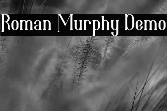 Roman Murphy Demo Schriftart examples