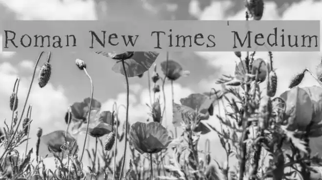 Roman New Times Medium Font examples