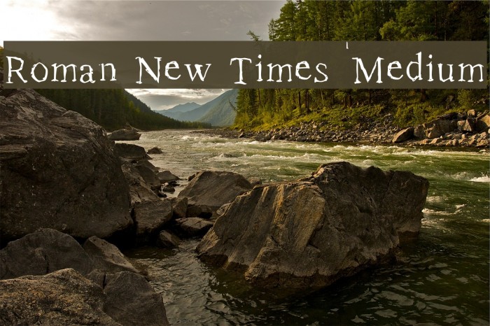 Roman New Times Medium Example 2