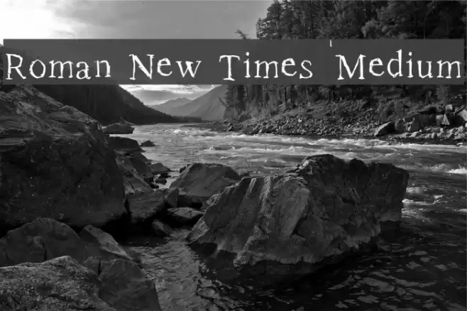 Roman New Times Medium Font examples