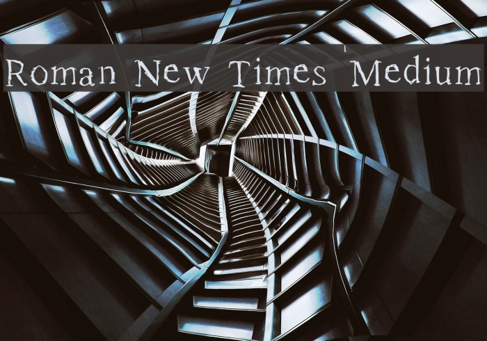 Roman New Times Medium Example 3